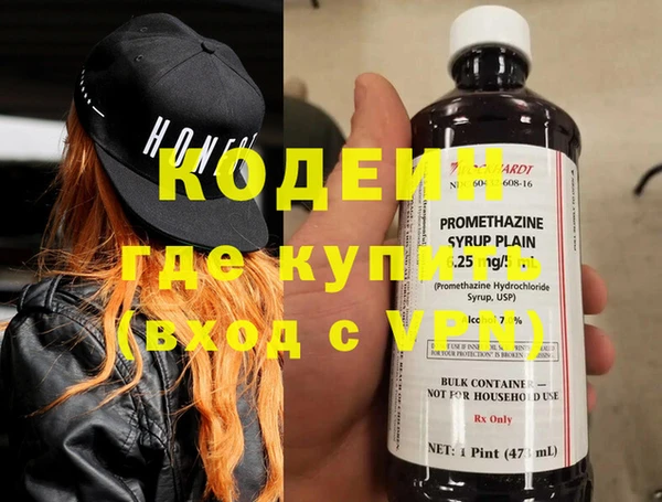 индика Новозыбков