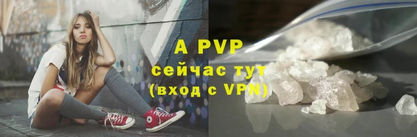 apvp Богородицк