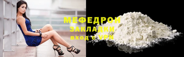 индика Новозыбков