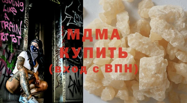 индика Новозыбков