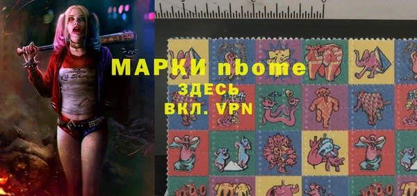 индика Новозыбков
