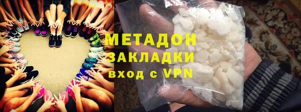 индика Новозыбков