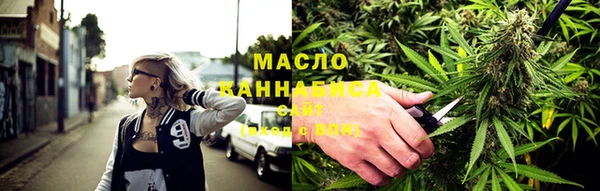 индика Новозыбков