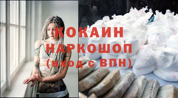 индика Новозыбков