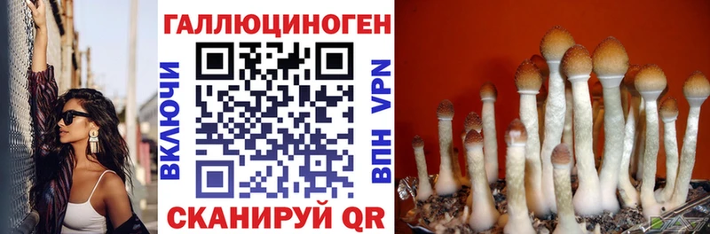 Псилоцибиновые грибы прущие грибы  Харовск 